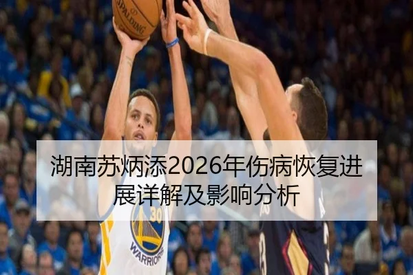 湖南苏炳添2026年伤病恢复进展详解及影响分析